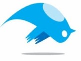 Twitter sotto attacco DDoS