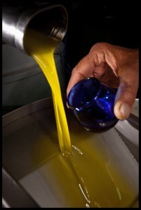 L'olio d'oliva può salvare Pompei