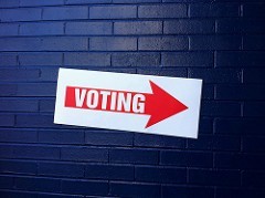 Referendum: il flop della Democrazia