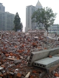 Cina: i costi della modernizzazione
