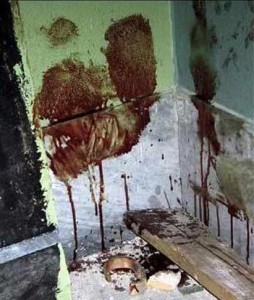 genova 2011 scuola diaz 254x300 Reato di tortura: si alza ancora lo spread di civilità giuridica