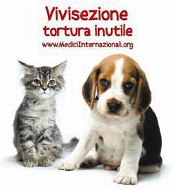 Nuova direttiva UE sulla vivisezione: animalisti e società civile sul piede di guerra
