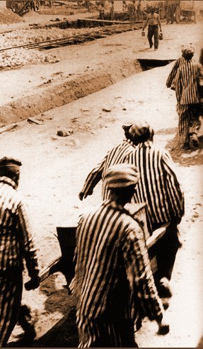 La memoria nella Giornata della Memoria