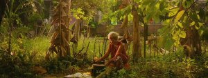 Aprire gli occhi su questo silenzio, The Look of Silence