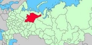 Russia: orsi affamati profanano le tombe