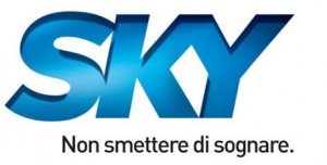 Sky Srl: Fenomenologia di un'impresa post-fordista
