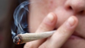 Italia al primo posto in Europa per il consumo di cannabis