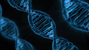Tumori ereditari a mammella e ovaio: validato nuovo test genetico ultrarapido