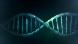 Egoisti? Colpa (anche) del DNA