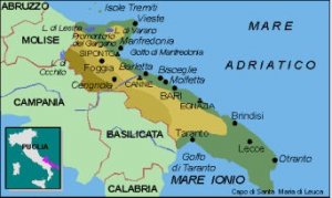 Incidente ferroviario in Puglia. I treni scontratisi in Terra di Bari e la voce di Eliana