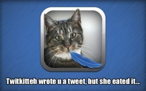 Galateo intollerante per Twitter