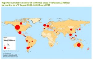 Influenza suina, aggiornamento di inzio agosto