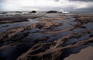 Interviste improbabili: un Pirla e il Petrolio