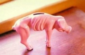 La democrazia della crisi