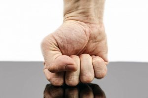 La mano umana si è evoluta per dare pugni?