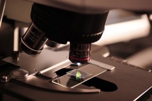 Ricerca in Italia: sempre meno soldi, sempre poco PIL investito