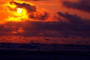 Viaggiare senza spendere quasi nulla si può! Basta metterci il cuore e la testa