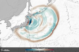 Fukushima-Daiichi: una ricerca e molti bilanci