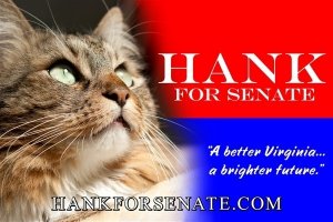 Un gatto candidato al senato americano: Yes we cat!