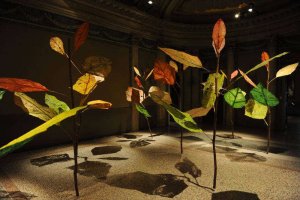 Le nuove proposte culturali di Palazzo Mocenigo