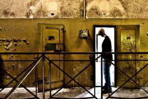 Carcere: un quadrifoglio fra le sbarre, da una detenuta per Roverto Cobertera