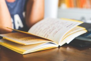 Il “declino” dell'italiano a scuola: diamo i numeri