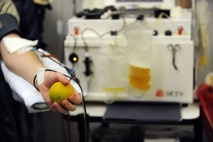 Perché è importante (e facilissimo) donare il plasma