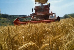 Inran e altri enti: il Disegno di legge sulla riforma