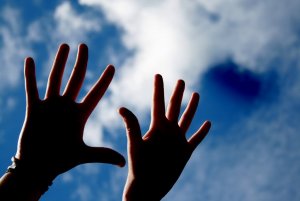 I vincoli interni che guidano l'evoluzione