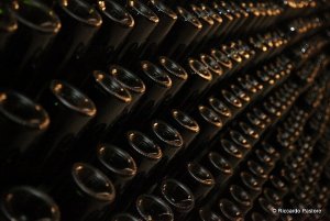 Spumante e Champagne. Le bollicine che fanno bene alla salute