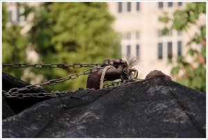 Migranti: i sintomi di una nuova Shoa nel Giorno della Memoria