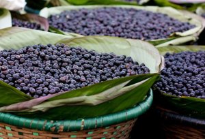Bacche di acai, il parere dell'esperta sul “superfood”