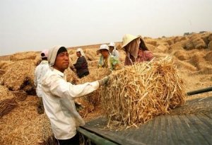Cina, parola d'ordine, riciclare