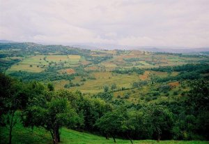 Coldiretti: 400mila persone trascorreranno il 2 giugno in agriturismi