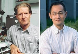 Avvenire arruola anche i Nobel per la medicina contro la ricerca sulle staminali embrionali