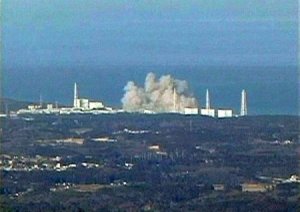 Le certezze del nucleare e la scissione dell'ameba