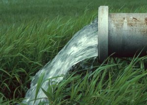 Palle d'acqua: la disinformazione dei referendari