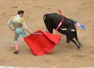 Corrida: show o massacro?