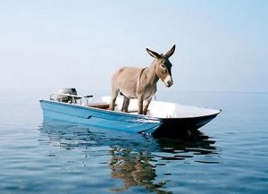 Quando a guidare la nave è un vile gradasso. Metafora dell'Italia cialtrona che tarda a scomparire