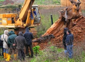 Ugento: chiusa la discarica avvelenata