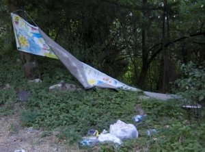 Andiamo a pulire la montagna