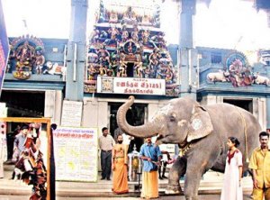 India da scoprire: Pondicherry