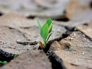 "From Zero, storie dalle tendopoli". La Rete ricorda L'Aquila trenta mesi dopo il sisma
