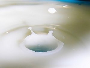 Il punto sul latte cinese