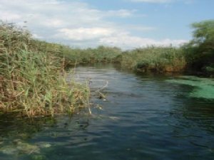 Salviamo il fiume Chidro