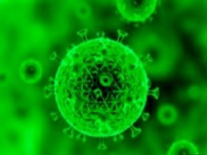 Perchè l'ipotesi Hiv-Aids è un errore macroscopico