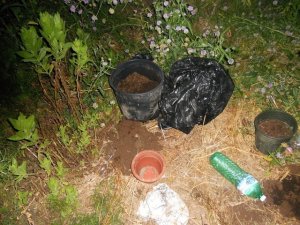 Coltivavano Marijuana alla Marina di Torrefumo – FOTO