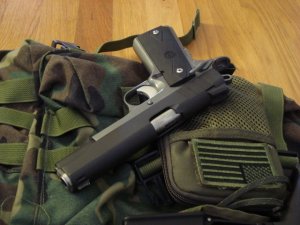 Emendamento Bricolo, una vera e propria liberalizzazione delle armi