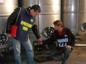 Ischia “DOC”, ma molto vino è prodotto con uve non isolane …
