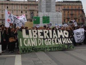 Fermiamo Green Hill: se la bontà è solo verde